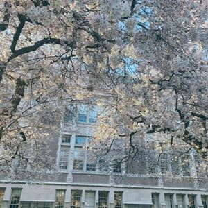 Meet your Posher, Jenna